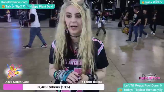 KalieKitten