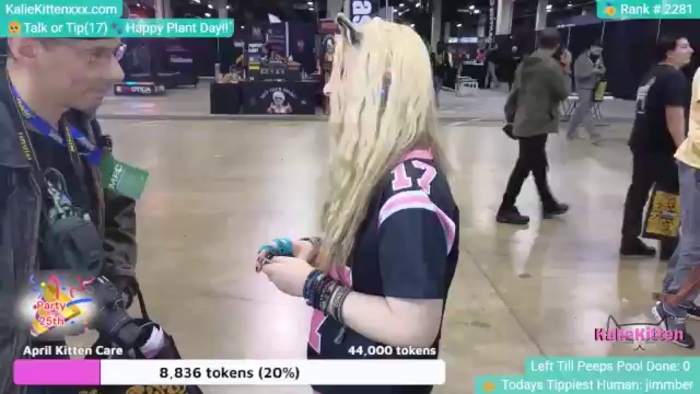 KalieKitten