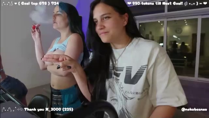 Nekobeanxo