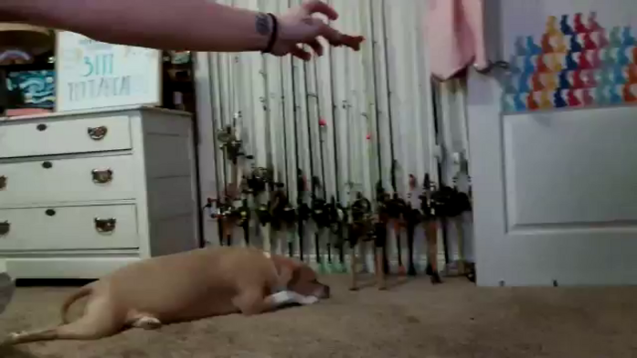 MollieRose_