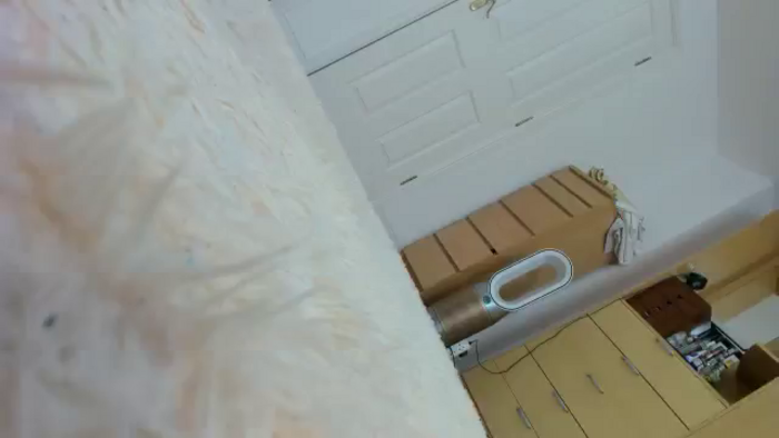 Rolla_Coaster