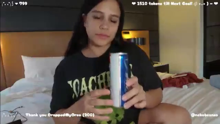 Nekobeanxo