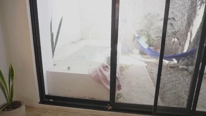 pincheDiosa