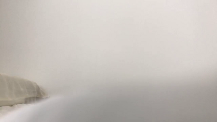 Riinapussy