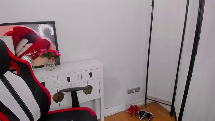 PamelaCam
