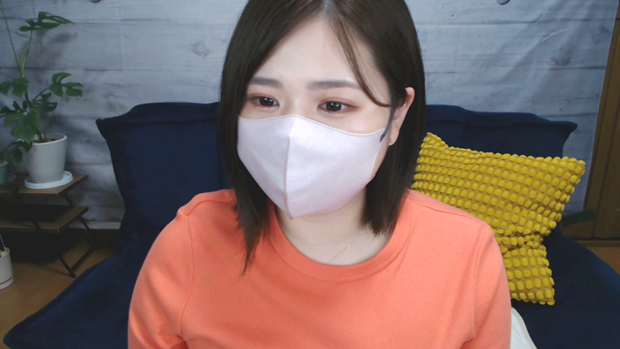 seina25