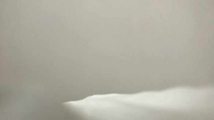 Riinapussy