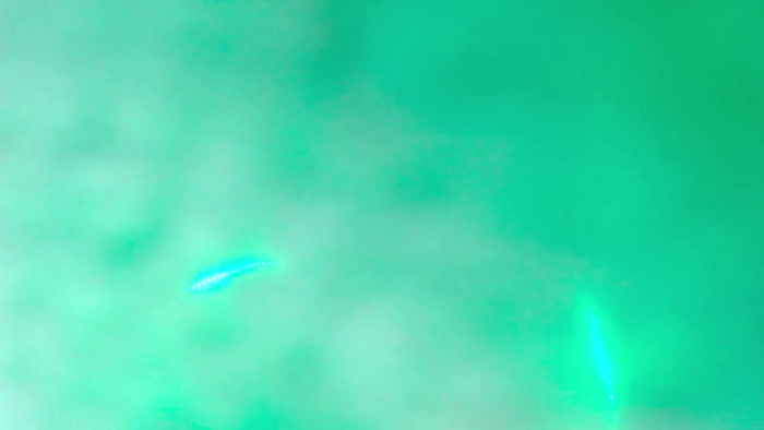 XbabyXmoonx