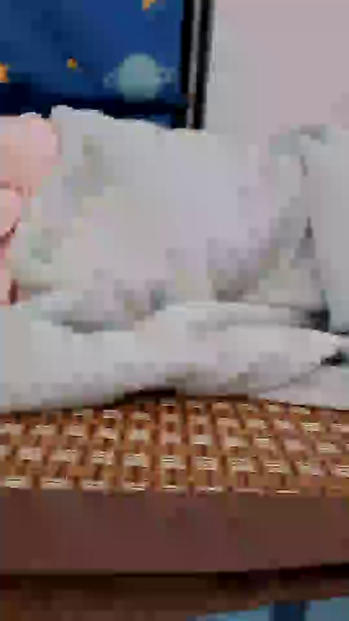 Queenx69