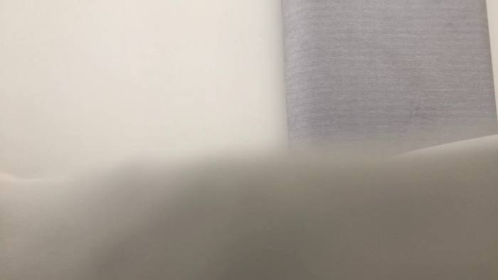Riinapussy