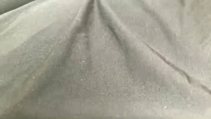 Riinapussy