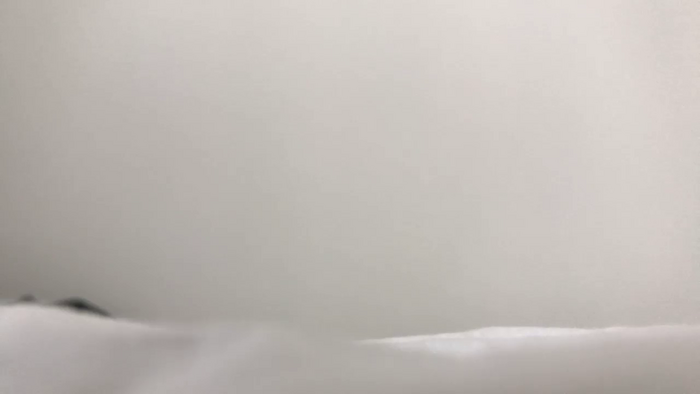 Riinapussy