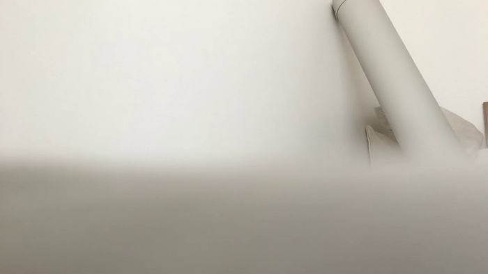 Riinapussy