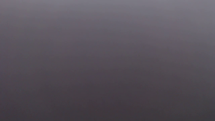 pppMAMIqqq