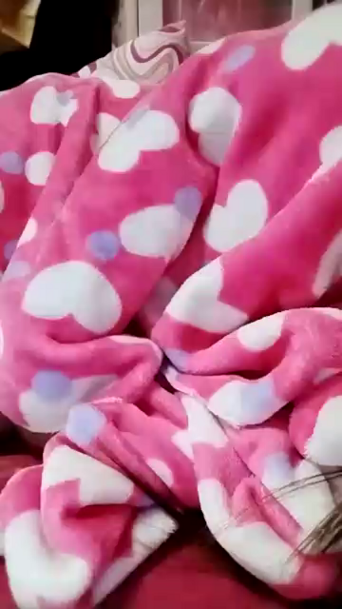AiChanAi000