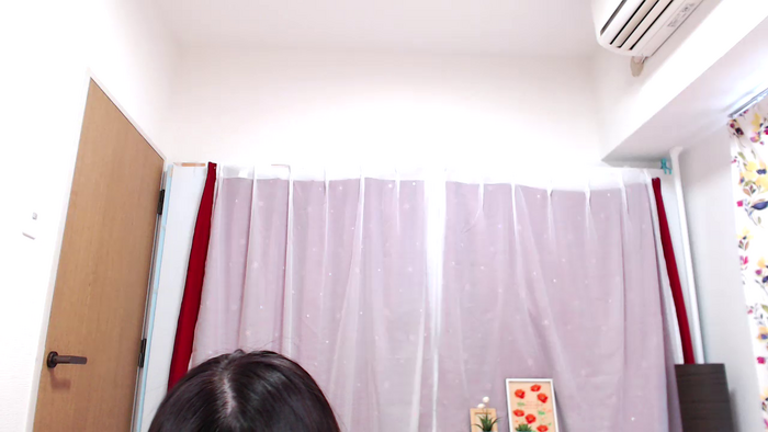 SHIZUKAvo