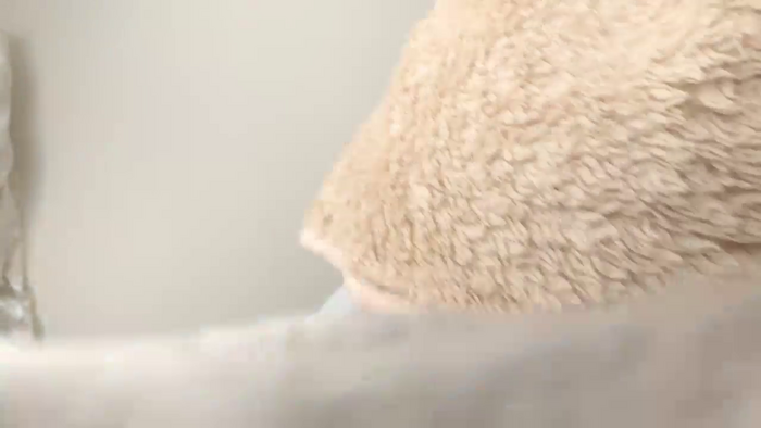 Riinapussy