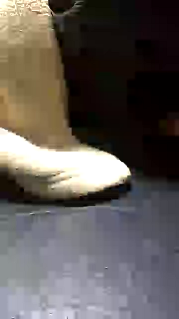 OhLady010