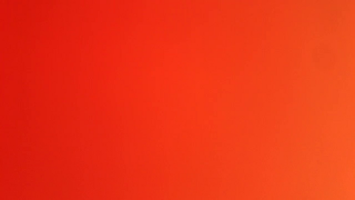Riinapussy