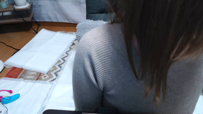 seina25