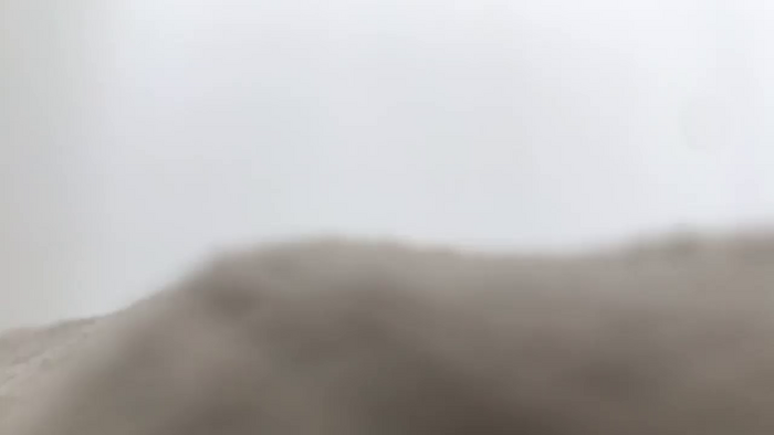 Riinapussy