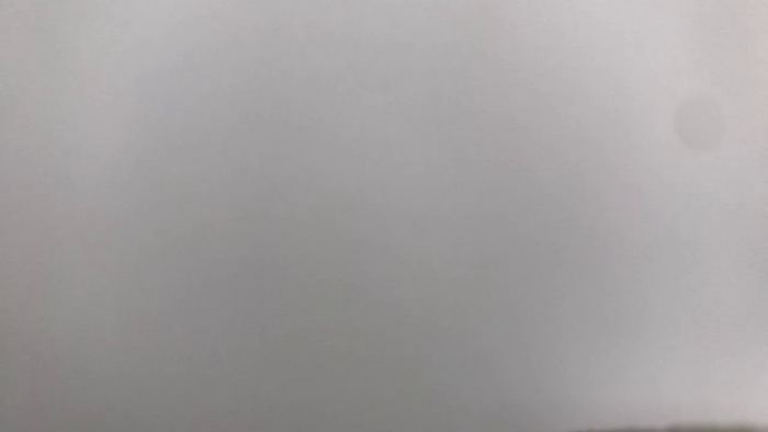 Riinapussy