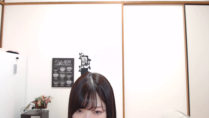 SHIZUKAvo
