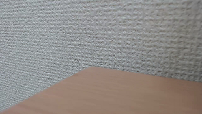 REIKAxdxx