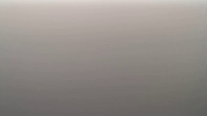 REIKAxdxx