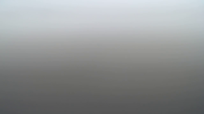 REIKAxdxx