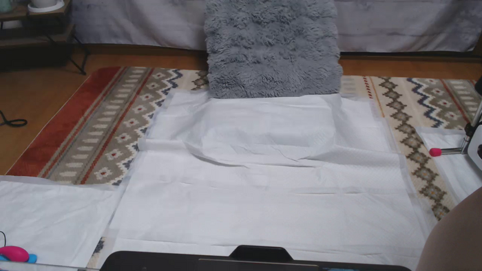 seina25