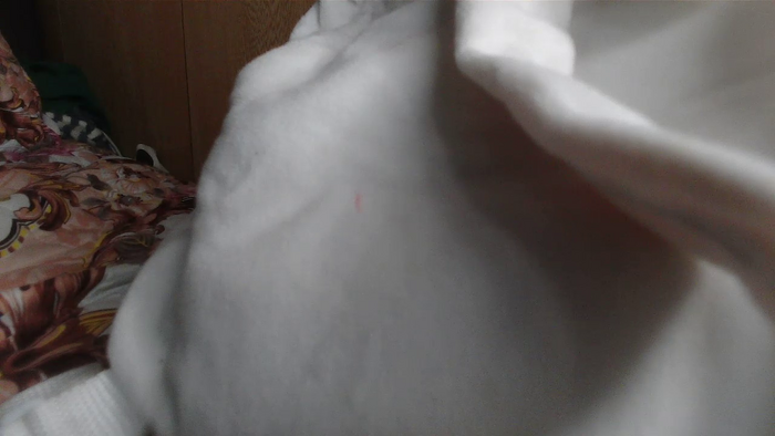 Rina231211