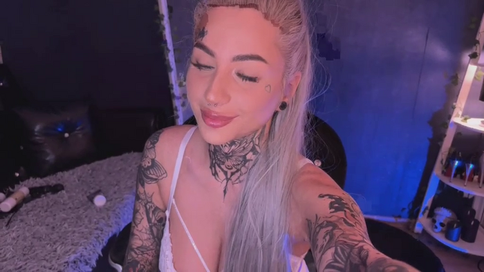 Dollybitch