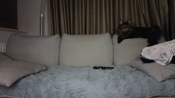 Lily24