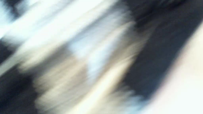 _Pumcia_