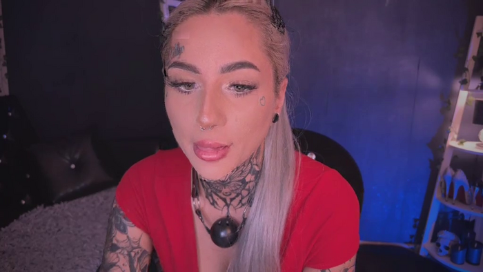 Dollybitch