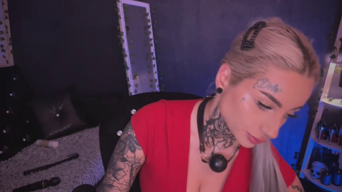 Dollybitch