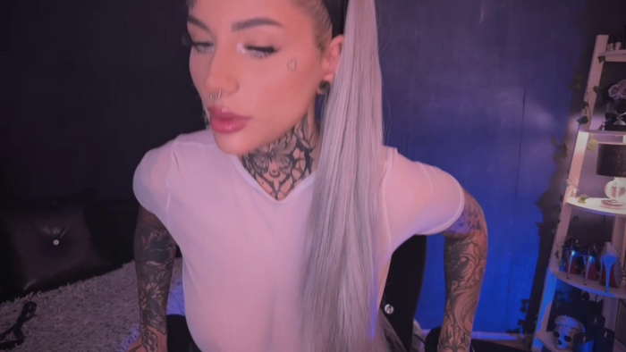 Dollybitch