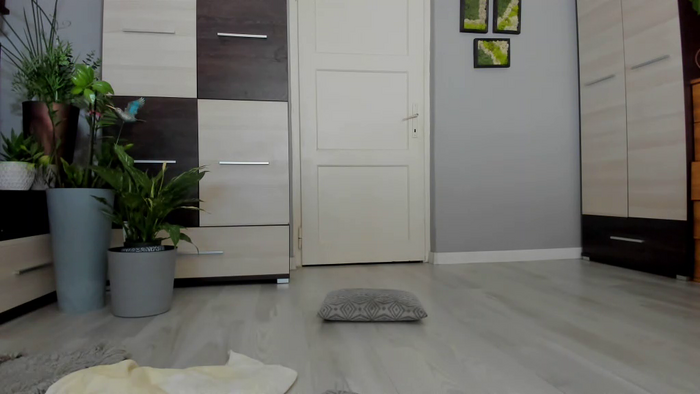 Anissa