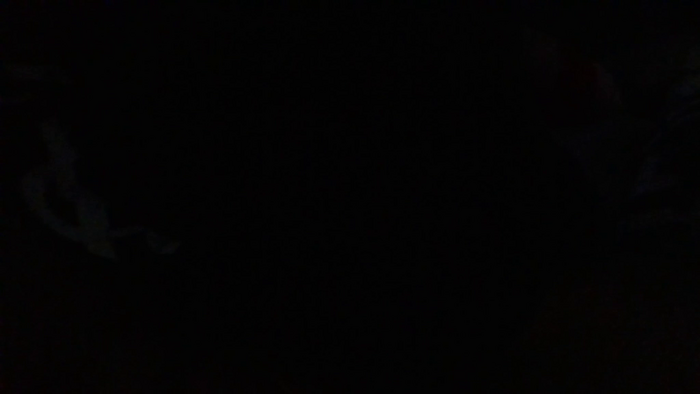 PanSex