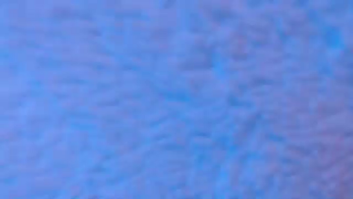Lalala12345678