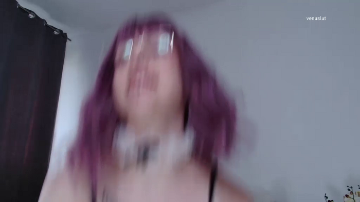 venuslut