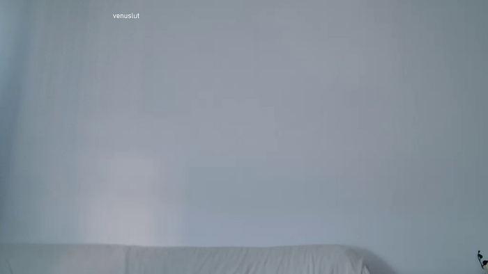 venuslut