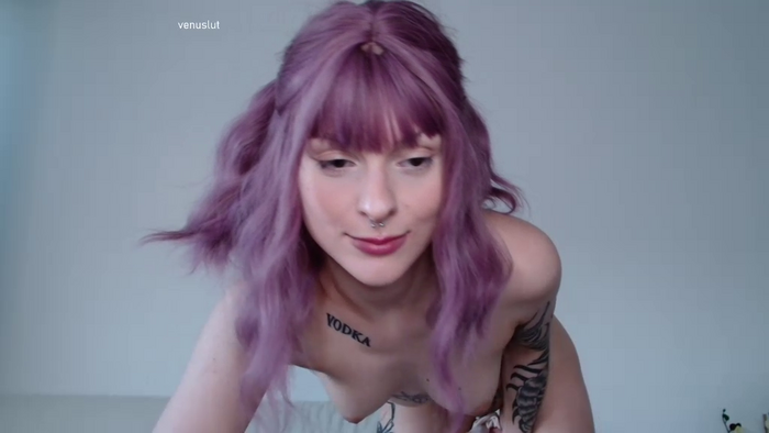 venuslut