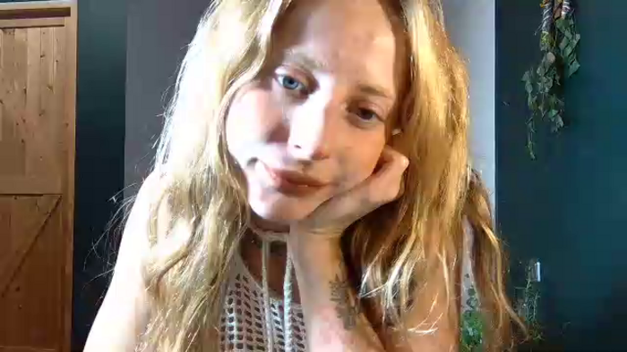 dianka666