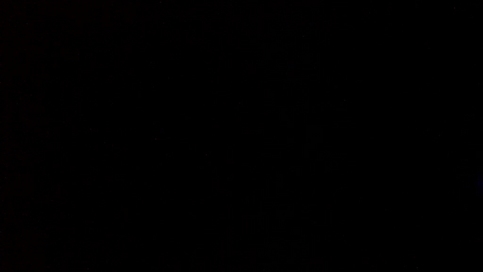 TajemniczaZwodzicielka
