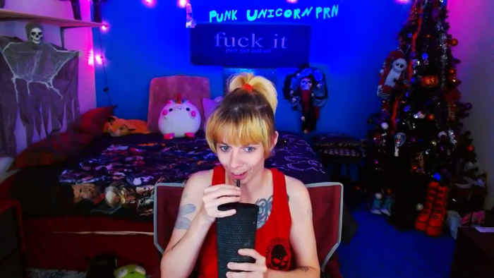 PunkUnicorn