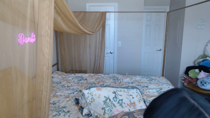 BambiDreamPie