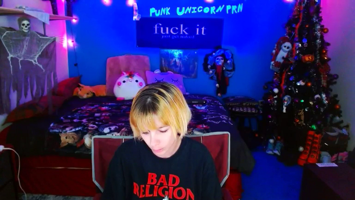 PunkUnicorn