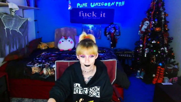 PunkUnicorn
